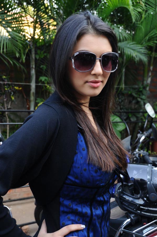 Hansika Photo Gallery - 2 / 71 photos